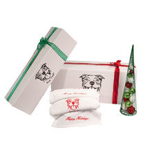 Load image into Gallery viewer, HOLIDAY Limited Edition Yoga Carry All Kit